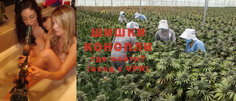 Канабис SATIVA & INDICA  Уссурийск 